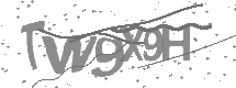 visual captcha